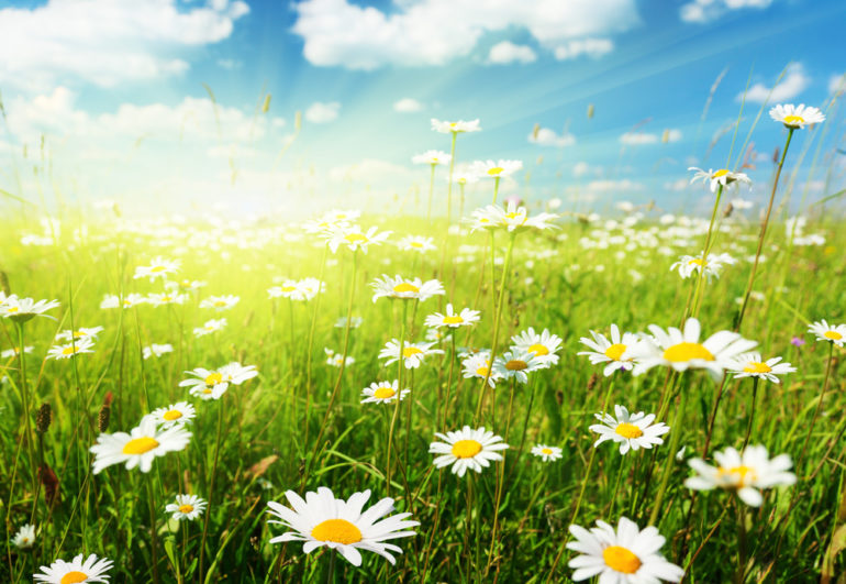 Spring is a Time of Renewal – Tips to Refresh Your AWS Workloads
